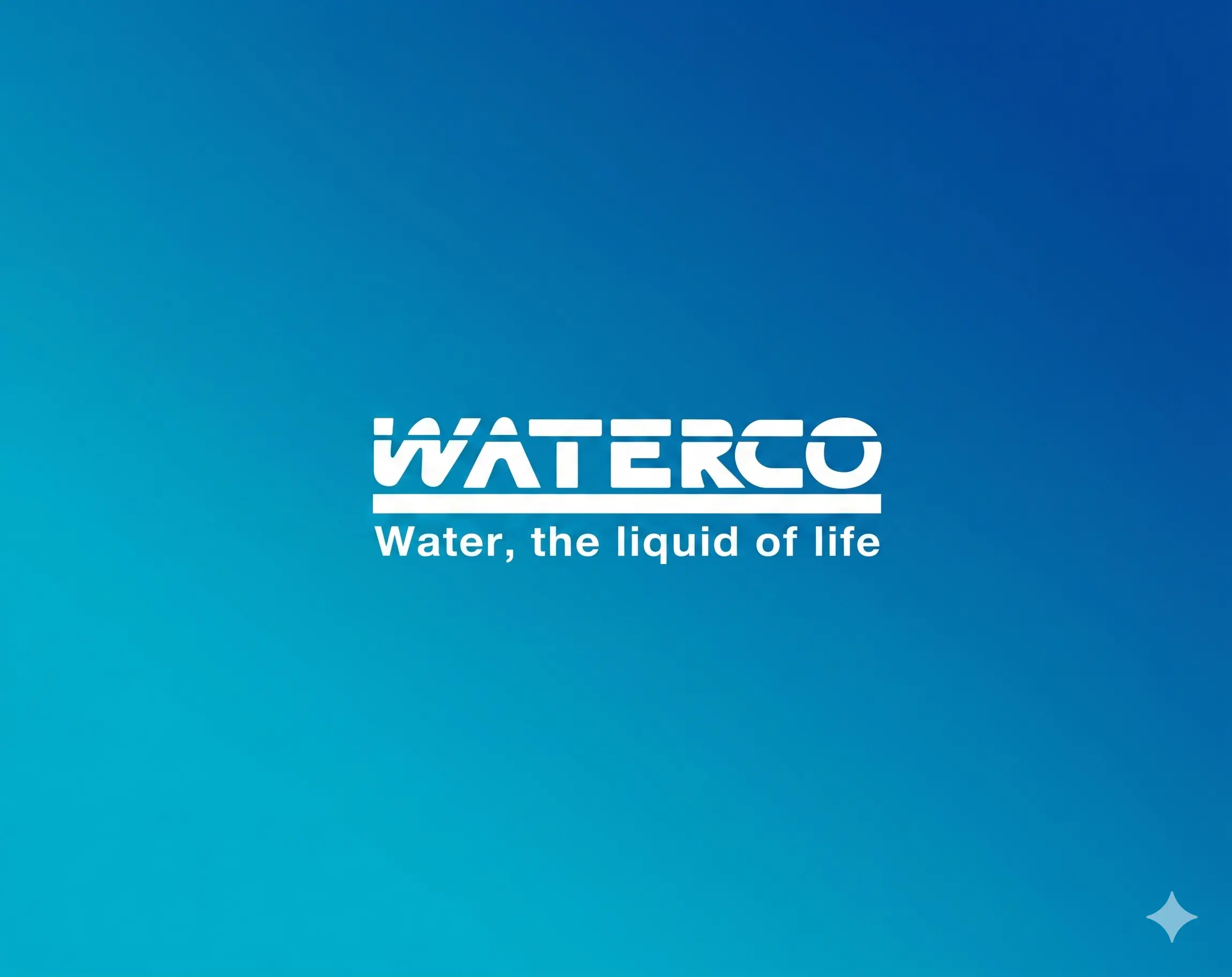 Official Waterco Logo - Swim Holdings Product Partner